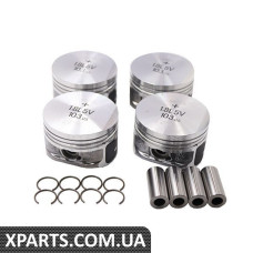Поршневий комплект Borsehung B13579