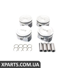 Поршневий комплект Borsehung B13580