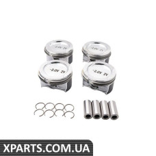 Поршневий комплект Borsehung B13581