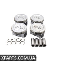 Поршневий комплект Borsehung B16955