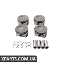 Поршневий комплект Borsehung B18740