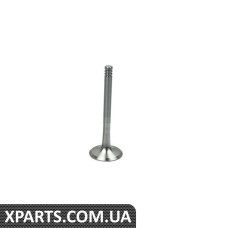 Випускний клапан Borsehung B19013