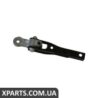 Кріплення Двигуна Borsehung B19304