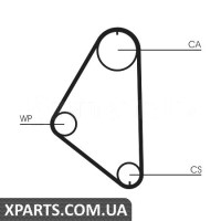 Ремінь ГРМ CONTITECH CT558