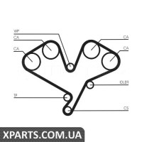 Ремінь ГРМ CONTITECH CT1113