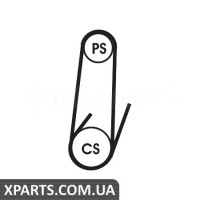 Полікліновий ремінь CONTITECH 4PK1022ELAST