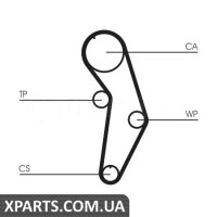 Водяний насос + комплект зубчастого ременя CONTITECH CT908WP1