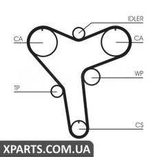 Ремінь ГРМ CONTITECH CT1029