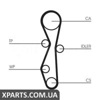 Водяний насос + комплект зубчастого ременя CONTITECH CT1142WP1