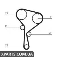 Водяний насос + комплект зубчастого ременя CONTITECH CT1035WP3