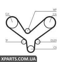 Ремінь ГРМ CONTITECH CT1175