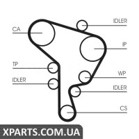 Водяний насос + комплект зубчастого ременя CONTITECH CT1044WP1