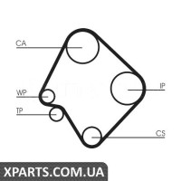 Ремінь ГРМ CONTITECH CT532