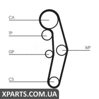 Водяний насос + комплект зубчастого ременя CONTITECH CT1028WP3
