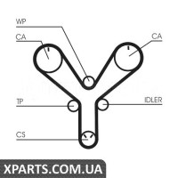 Ремінь ГРМ CONTITECH CT1147