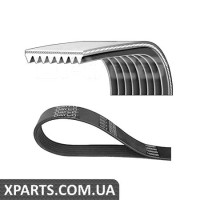 Полікліновий ремінь DAYCO 8PK2440