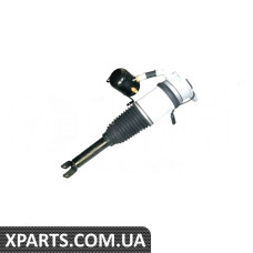 Амортизатор у зборі (Пневмостійка) Vika 46160000401