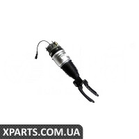 Амортизатор у зборі (Пневмостійка) Vika 46160000901