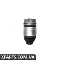 Амортизатор у зборі (Пневмостійка) Vika 46160002001