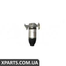 Амортизатор в зборі (Пневмостійка) Vika 46160002201