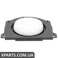 Уплотняющее кольцо, коленчатый вал ELRING 428510