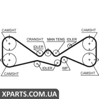 Ремінь ГРМ Gates 5612XS
