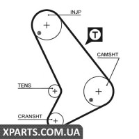 Ремінь ГРМ Gates 5572XS