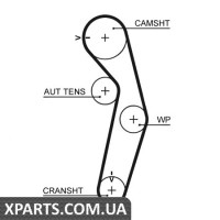 Ремінь ГРМ Gates 5445XS