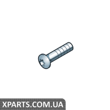 Гвинт зі скр.цил.гол.,внут.TORX VAG N10745301
