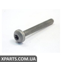 Гвинт зі скр.цил.гол.,внут.TORX VAG 07C133479F