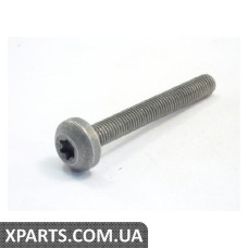 Гвинт зі скр.цил.гол.,внут.TORX VAG 07C133479F