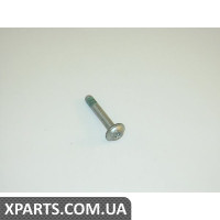 Гвинт зі скр.цил.гол.,внут.TORX VAG N10704501