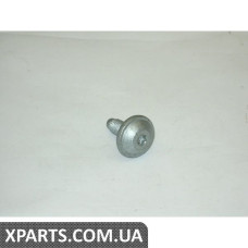 Гвинт з плоскою головкою та внутрішнім TORX VAG WHT004905