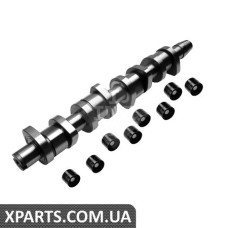 Розподільний вал (к-т) INA 428003930