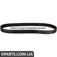 JP GROUP Папір 6PK1250 OPEL 1,7DTI VOLVO 2,0-2,9 JP GROUP - 1218100100
