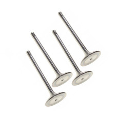 028109601J VAG Впускний клапан - Комплект