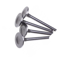 114020249 VAG Впускний клапан - Комплект