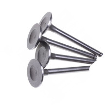 114020249 VAG Впускний клапан - Комплект