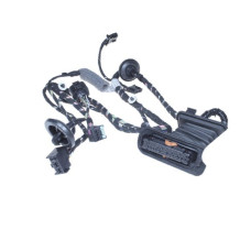 5J0971120BG VAG Комплект електропроводки передніх дверей