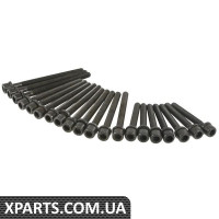 Комплект болтів головки блоку циліндрів (EuroVan Golf Jetta Passat V6) VAG 021198384G