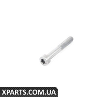 Гвинт з головкою BMW 07119901033