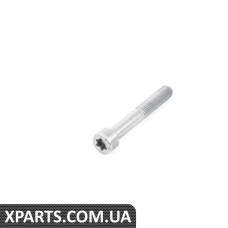 Гвинт з головкою BMW 07119901033