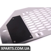 Нижня решітка бампера Chrome BMW 51116800138