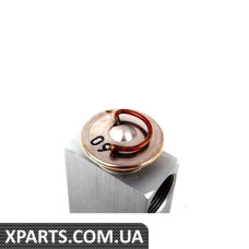 Розширювальний клапан кондиціонера VAG 191820679