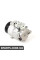 Компресор кондиціонера у зборі Mercedes Benz 0002307811