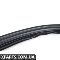 Ущільнення рами лобового скла BMW 51717023969