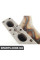 Передній випускний колектор BMW 11621744250