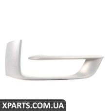 TRIM ON GRILL, СТОРОНА, ПРАВО BMW 51117308044