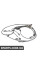 Джгут дротів двигуна BMW 12517635393