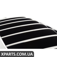 Передні грати - праворуч BMW 51137316062